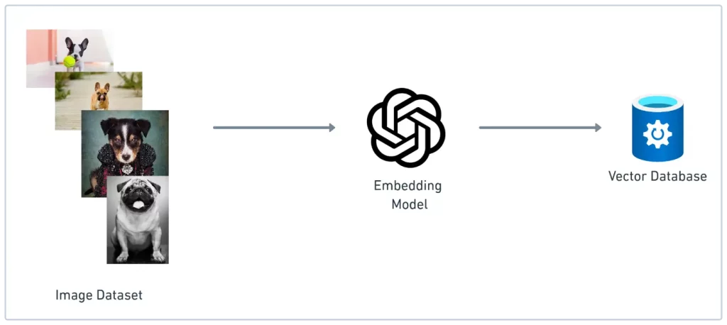 Image Embedding Model